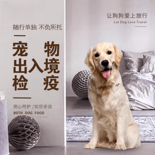 延边州宠物托运到哥伦比亚猫狗宠物入境规定和