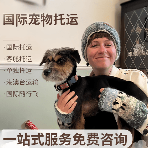 延边州国际宠物托运到阿根廷宠物入境规定和要