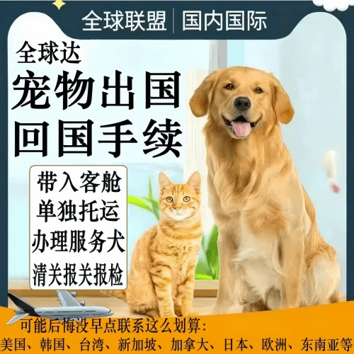 延边州宠物托运到柬埔寨宠物入境规定和要求