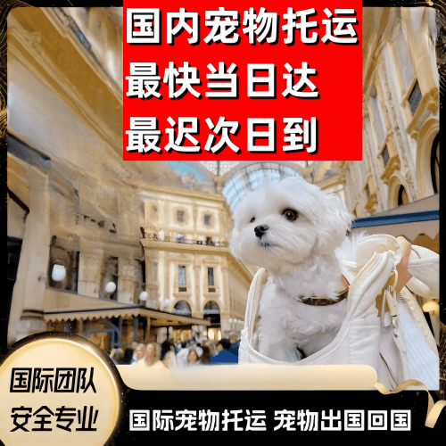 延边州到澳大利亚（澳洲）宠物入境规定和要求